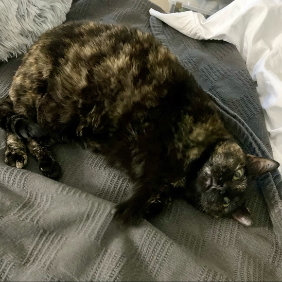 Emo - Picture 5 of 12